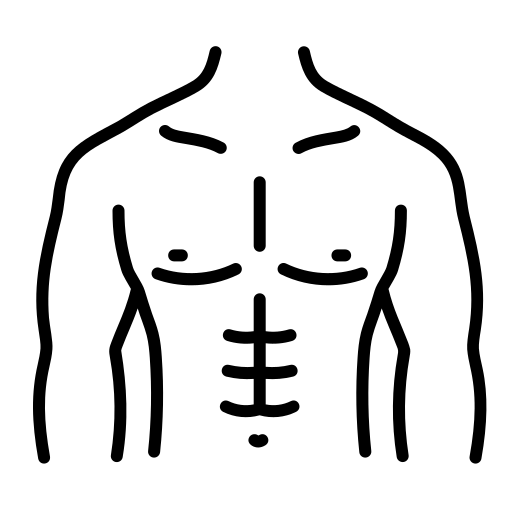 Chest (Thorax)