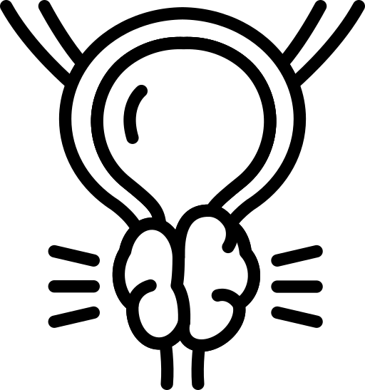 Prostate