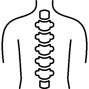 Spine